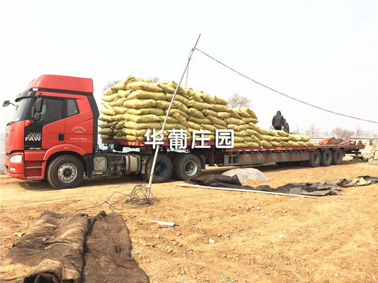 XCLP2-25T/30T平面液壓裁斷機 XCLP2-25T/30T平面液壓裁斷機